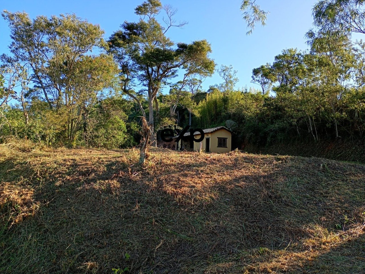 Carlinhos 580 8