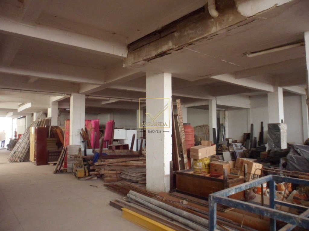 Stela de Souza - fotos (5) (1)