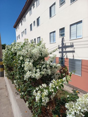 apartment em Avenida Benedicto Castilho de Andrade, Parque Residencial Eloy Chaves - Jundiaí - SP