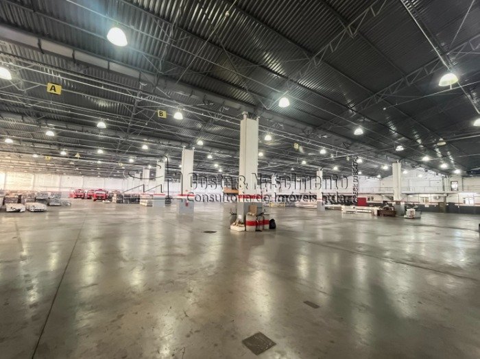 11-PHOTO-2025-08-01-12-12-46