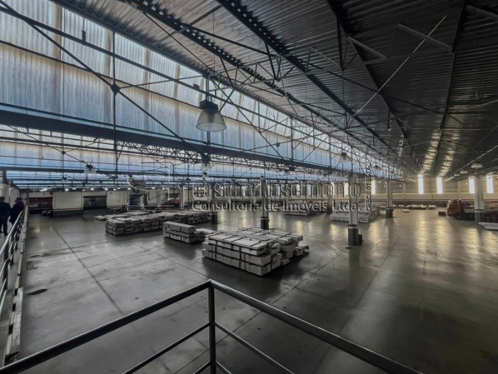 9-PHOTO-2025-08-01-12-12-48