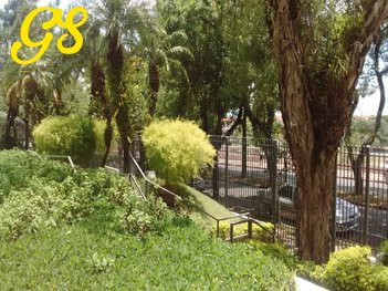 apartment em Avenida Papa Pio XII, Jardim Chapadão - Campinas - SP