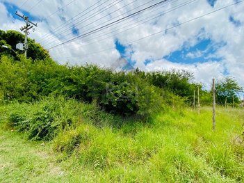 land_lot em Reinaldo Muller, Ponta Grossa - Porto Alegre - RS