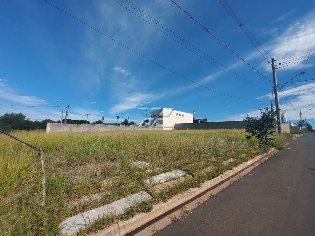 Vista Lateral
