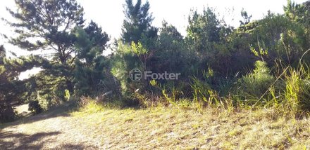 land_lot em Rua Ipê Amarelo, São Francisco de Paula - São Francisco de Paula - RS