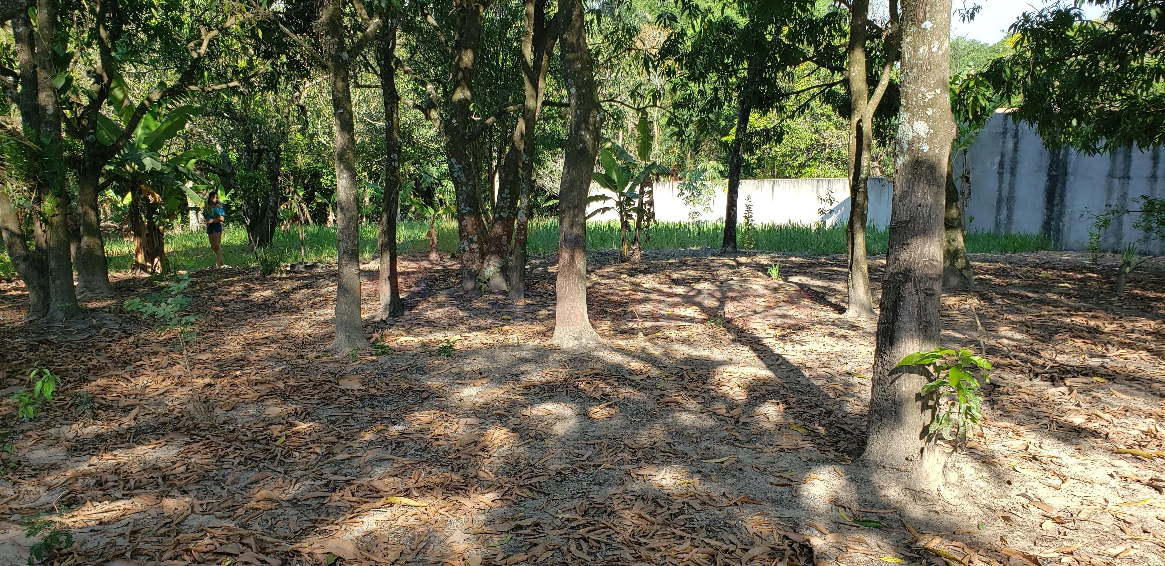 Foto 03
