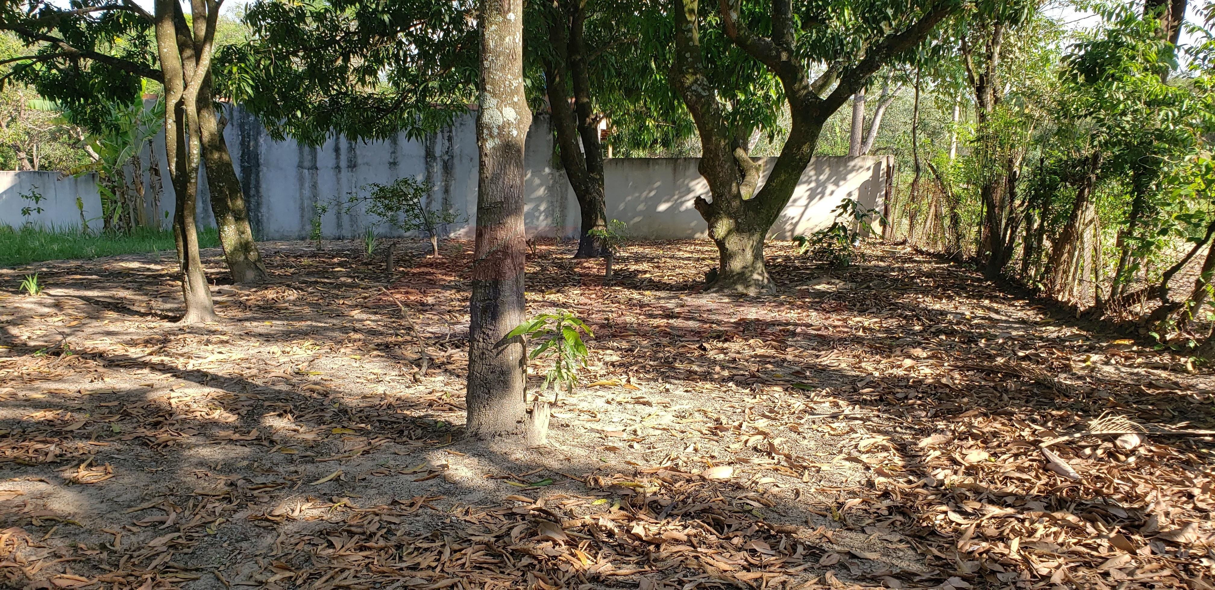 Foto 04
