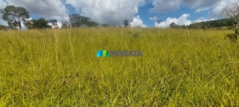 agricultural em Rua Caetano Burrini, Centro - Itaúna - MG
