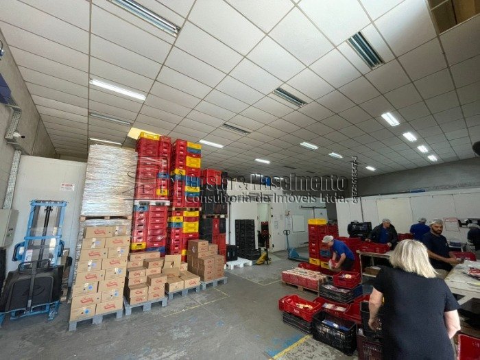 WhatsApp Image 2025-10-20 at 14.00