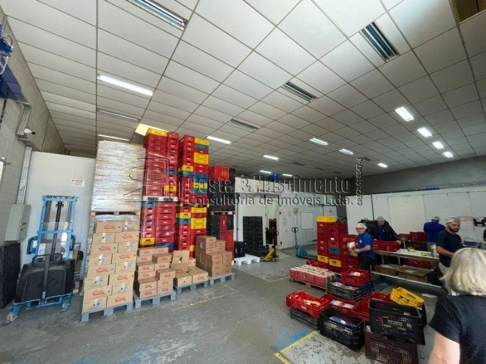 WhatsApp Image 2025-10-20 at 14.00