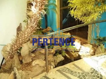 commercial_building em Rua Mucuri, Floresta - Belo Horizonte - MG