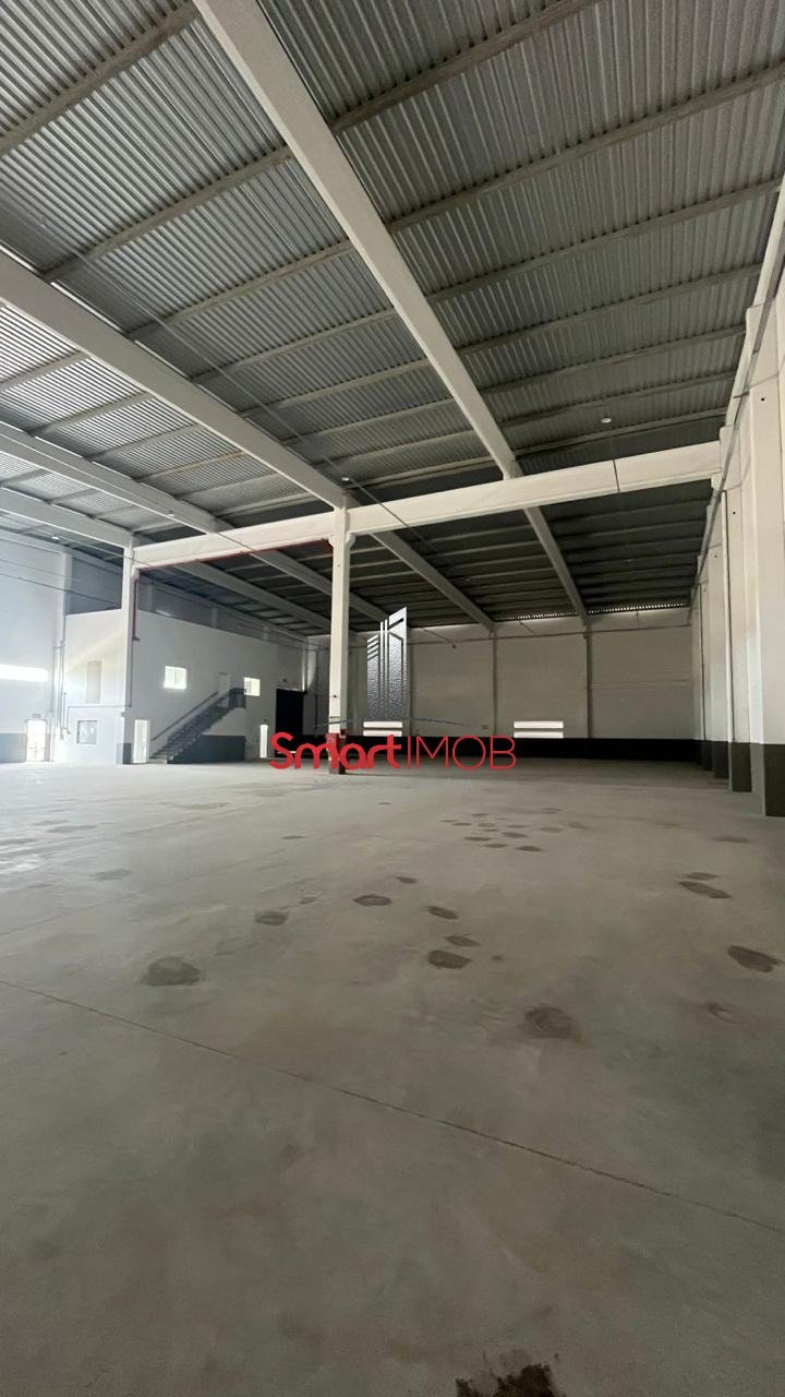 WhatsApp Image 2025-10-16 at 14.49