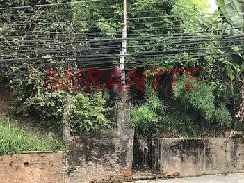 land_lot em Corifeu De Azevedo Marques, Vila Lageado - São Paulo - SP