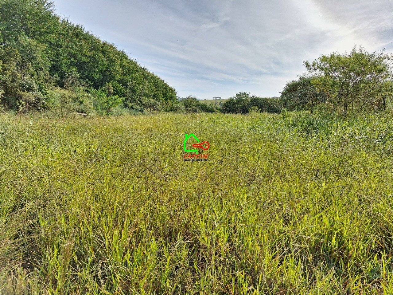 image-0
