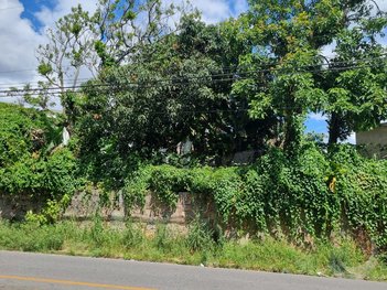 land_lot em Frederico Afonso, Centro - São José - SC
