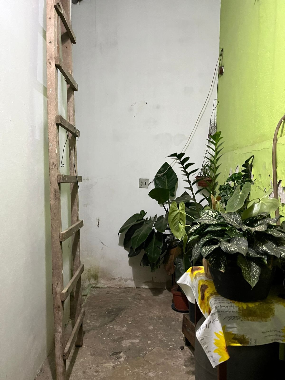 img1