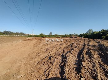 land_lot em Rodovia BR-287, Patronato - Santa Maria - RS