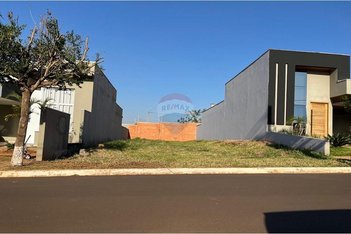 land_lot em Avenida Padre José Anselmi, Jardim Valencia - Ribeirão Preto - SP