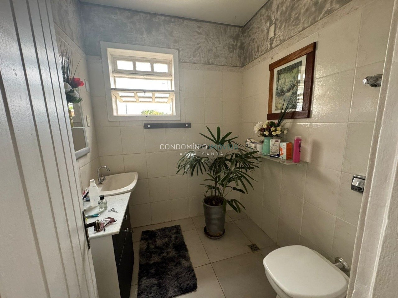 WhatsApp Image 2025-11-03 at 16.20