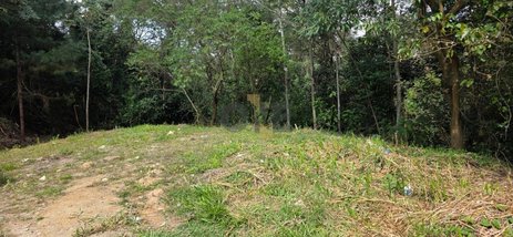 land_lot em Avenida Estácio de Sá, São Paulo II - Cotia - SP