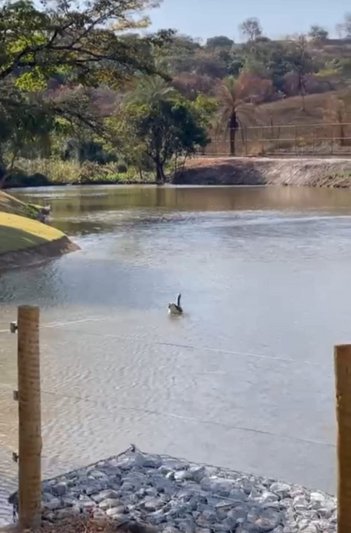 land_lot em Avenida Portal do Sol, Portal do Sol - Contagem - MG