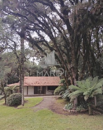 house em Irmão Albino Bruneto, Laje de Pedra - Canela - RS