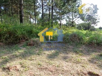 land_lot em Rua Doutor Altair Martins, Gramado - Cotia - SP