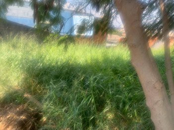 land_lot em Avenida  Paulo Emanuel de Almeida, Parque dos Eucaliptos - Sorocaba - SP