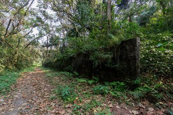 land_lot em Rua Itupu, Chácara Monte Alegre - São Paulo - SP