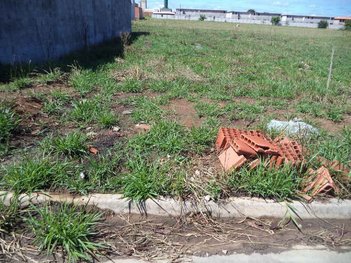 land_lot em Avenida Jayme Feola, Bairro Pacaembu - Americana - SP