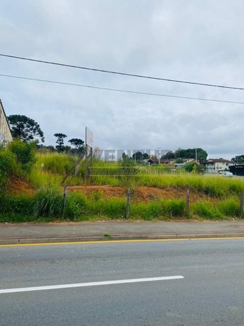 land_lot em Avenida Rui Barbosa, Colônia Rio Grande - São José dos Pinhais - PR