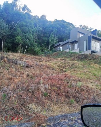 land_lot em Verginia Bonatto Bachi, São Luiz - Caxias do Sul - RS