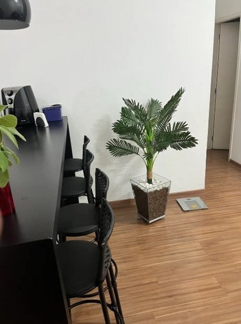 apartment em Rua Dona Ana Neri, Cambuci - São Paulo - SP