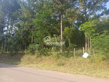 land_lot em Rua Alberto Adolpho Fruchtenicht, Campestre - São Leopoldo - RS