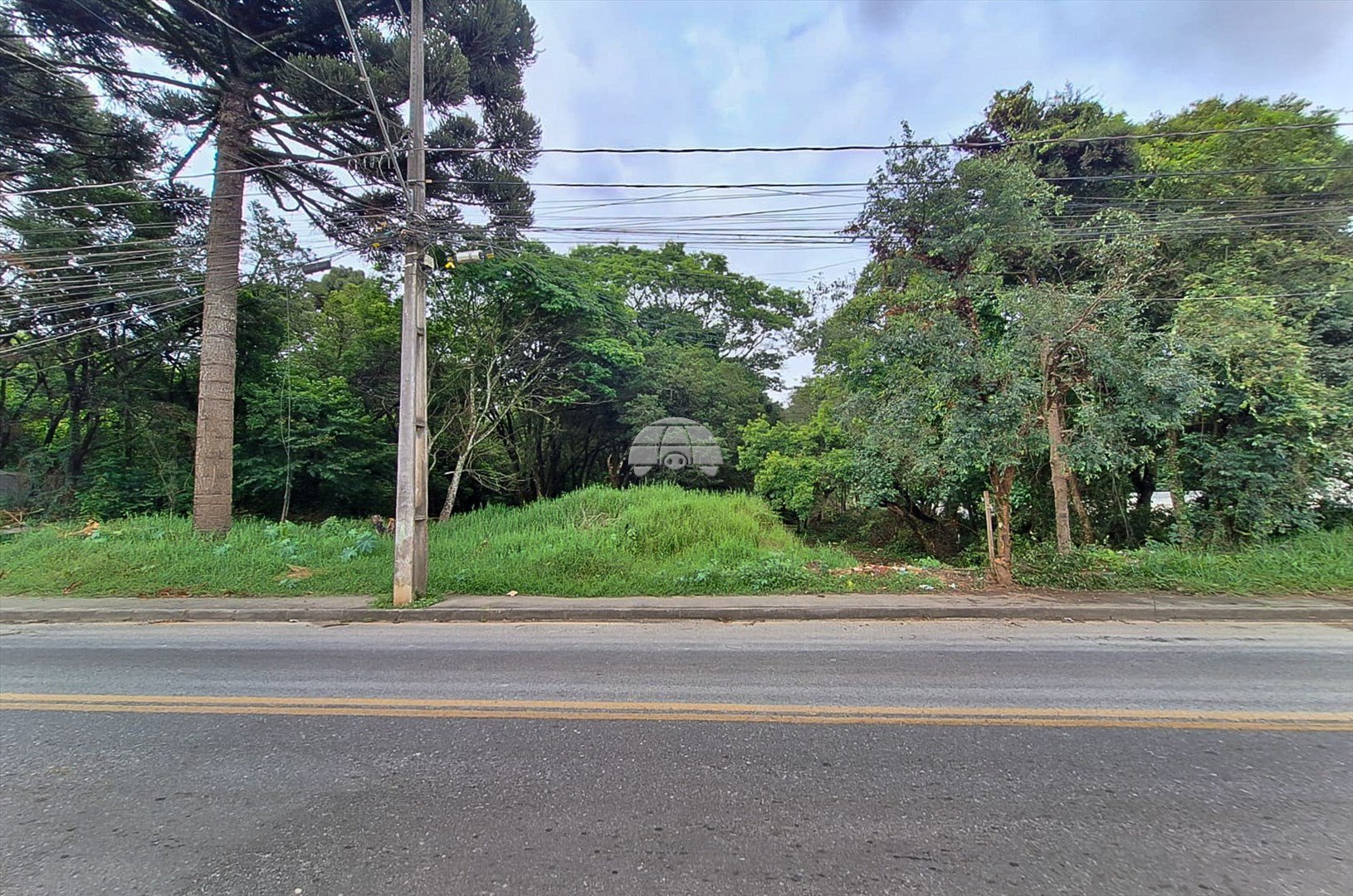 image-0