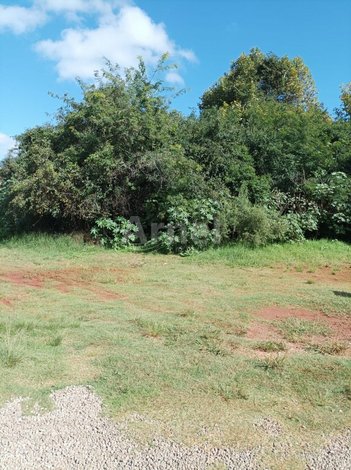 commercial_land_lot em Alceu Laus, Nenê Graeff - Passo Fundo - RS
