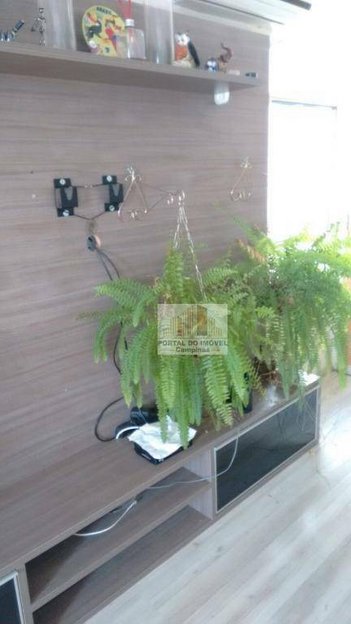 apartment em Rua Albatroz, Vila Padre Manoel de Nóbrega - Campinas - SP