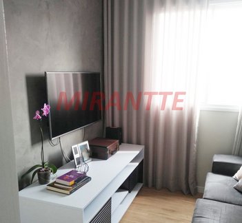 apartment em Rua Franklin do Amaral, Vila Nova Cachoeirinha - São Paulo - SP