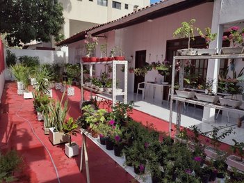 house em Alameda Gênova, Pituba - Salvador - BA