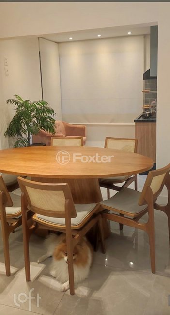 apartment em Rua Rosa de Siqueira, Campestre - Santo André - SP