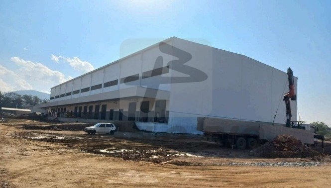 image - 2025-07-23T165720