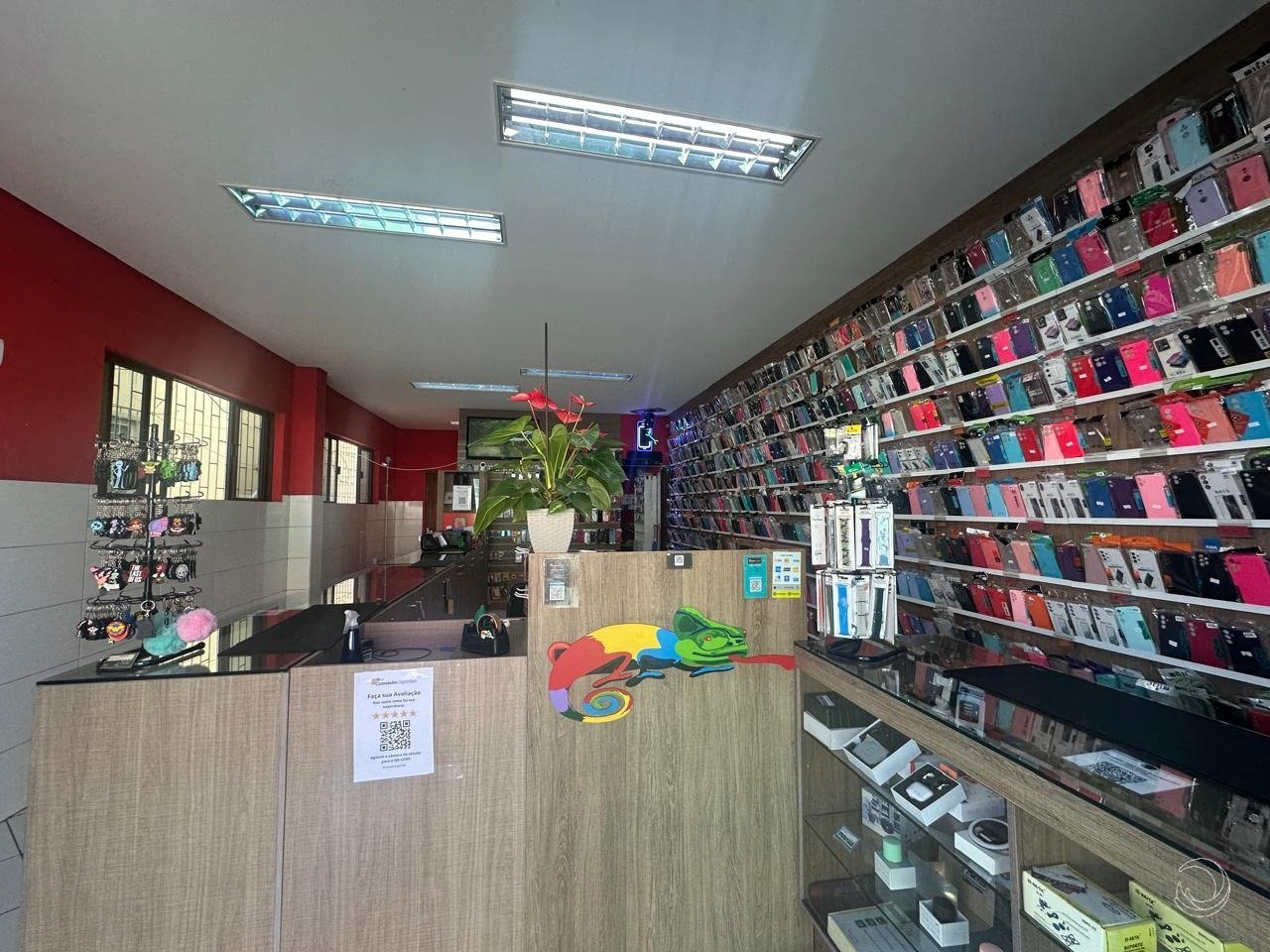 WhatsApp Image 2025-01-28 at 21.05