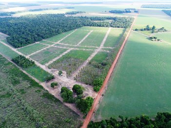 land_lot em Avenida Projetada A, Residencial Sabrina I - Sinop - MT