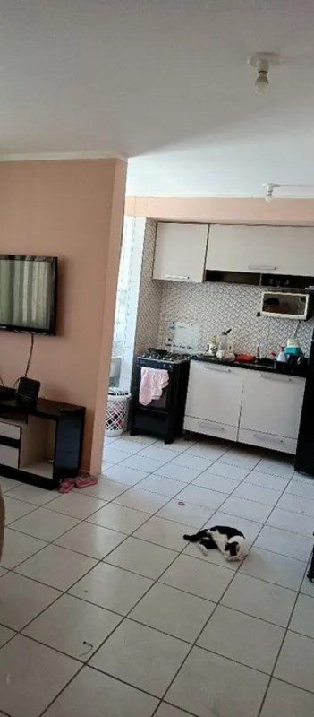 apartment em Rua Forte do Rio Branco, Parque São Lourenço - São Paulo - SP