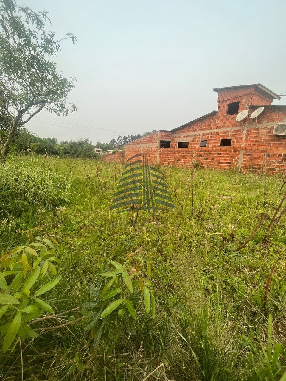 WhatsApp Image 2024-10-02 at 09.36