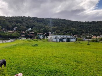 land_lot em Rodovia Francisco Thomaz dos Santos, Morro das Pedras - Florianópolis - SC