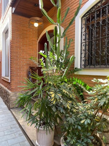 house em Praça General Polidoro, Aclimação - São Paulo - SP