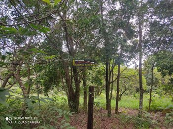 land_lot em Rua Tereza Vechiatti Trigo, Chácaras São Bento - Valinhos - SP