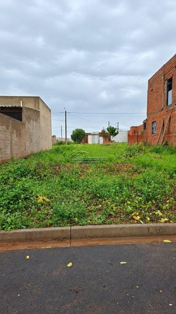 land_lot em Rua Apparecida Zaramella Ferrareze, Parque Vasconcellos - Hortolândia - SP