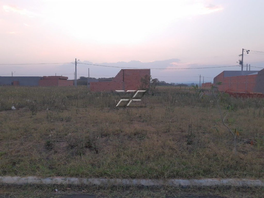 Lote